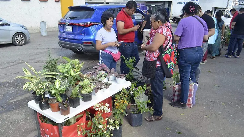 Plantas-Villahermosa